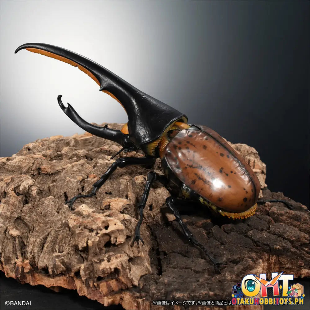 Bandai The Diversity Of Life On Earth Hercules Beetle Dynastes Lichyi Set Trading Figure
