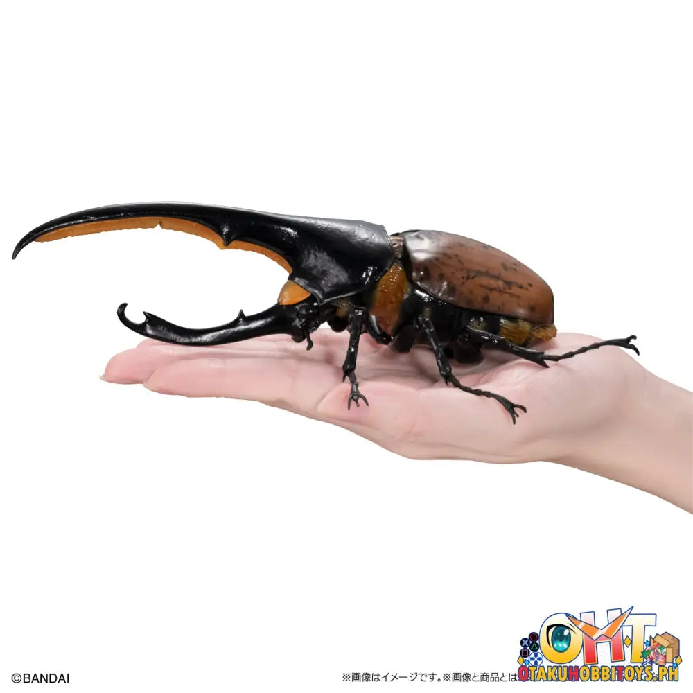 Bandai The Diversity Of Life On Earth Hercules Beetle Dynastes Lichyi Set Trading Figure