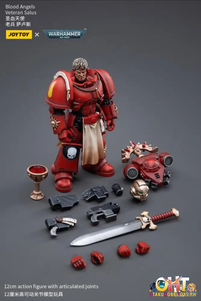 Joytoy Warhammer 40K 1/18 Blood Angels Veteran Salus Jt3389 Articulated Figure