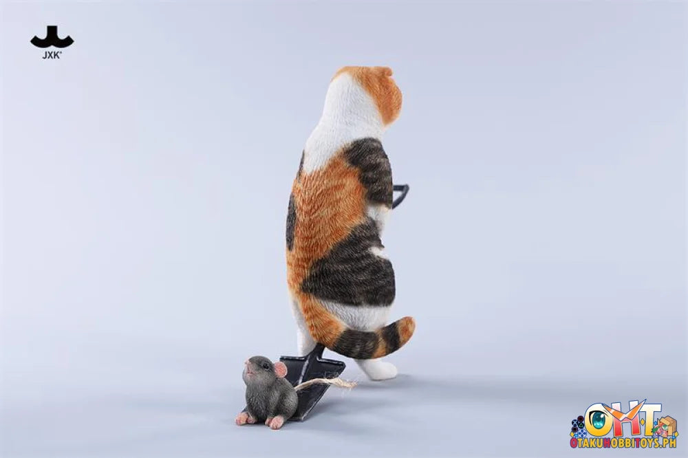 JXK 1/6 Folded Eared Cat - Scale Figure