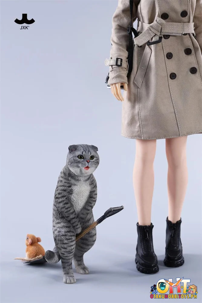 JXK 1/6 Folded Eared Cat - Scale Figure