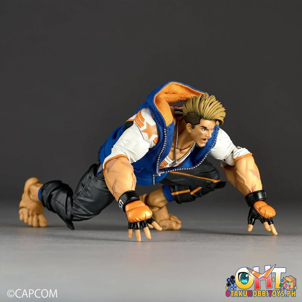 Kaiyodo Revoltech Amazing Yamaguchi Luke Articulated Figure