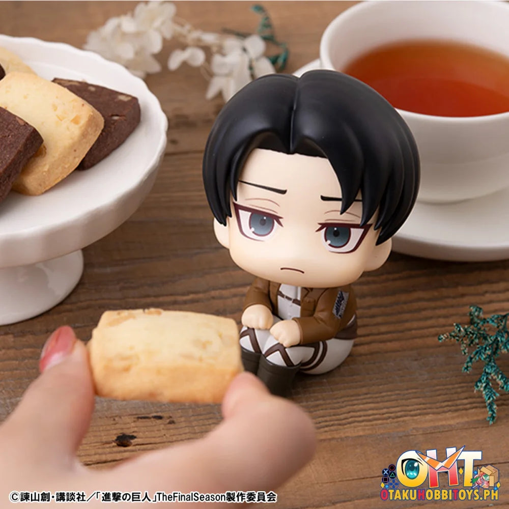 Megahouse Lookup Attack on Titan Levi