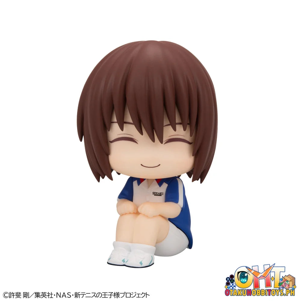 Megahouse Lookup The New Prince of Tennis Shusuke Fuji
