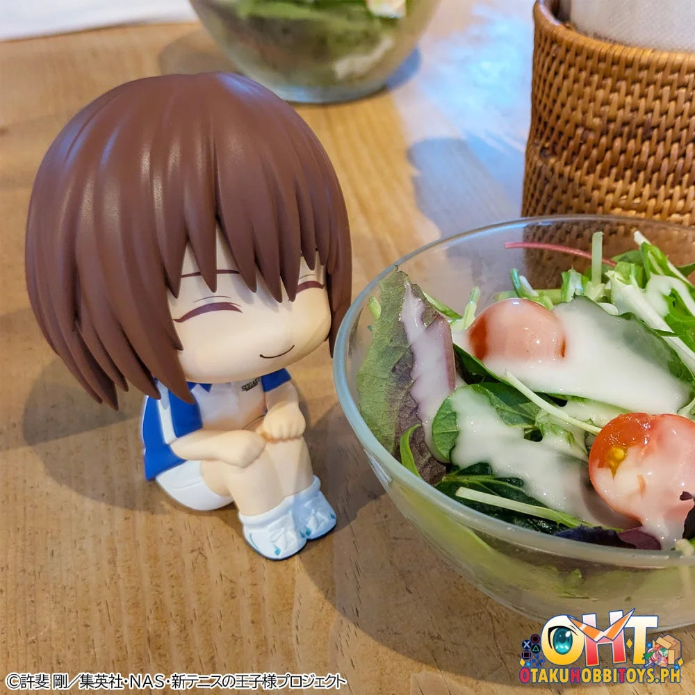 Megahouse Lookup The New Prince of Tennis Shusuke Fuji