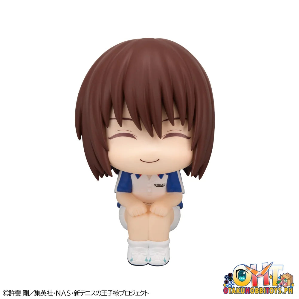 Megahouse Lookup The New Prince of Tennis Shusuke Fuji