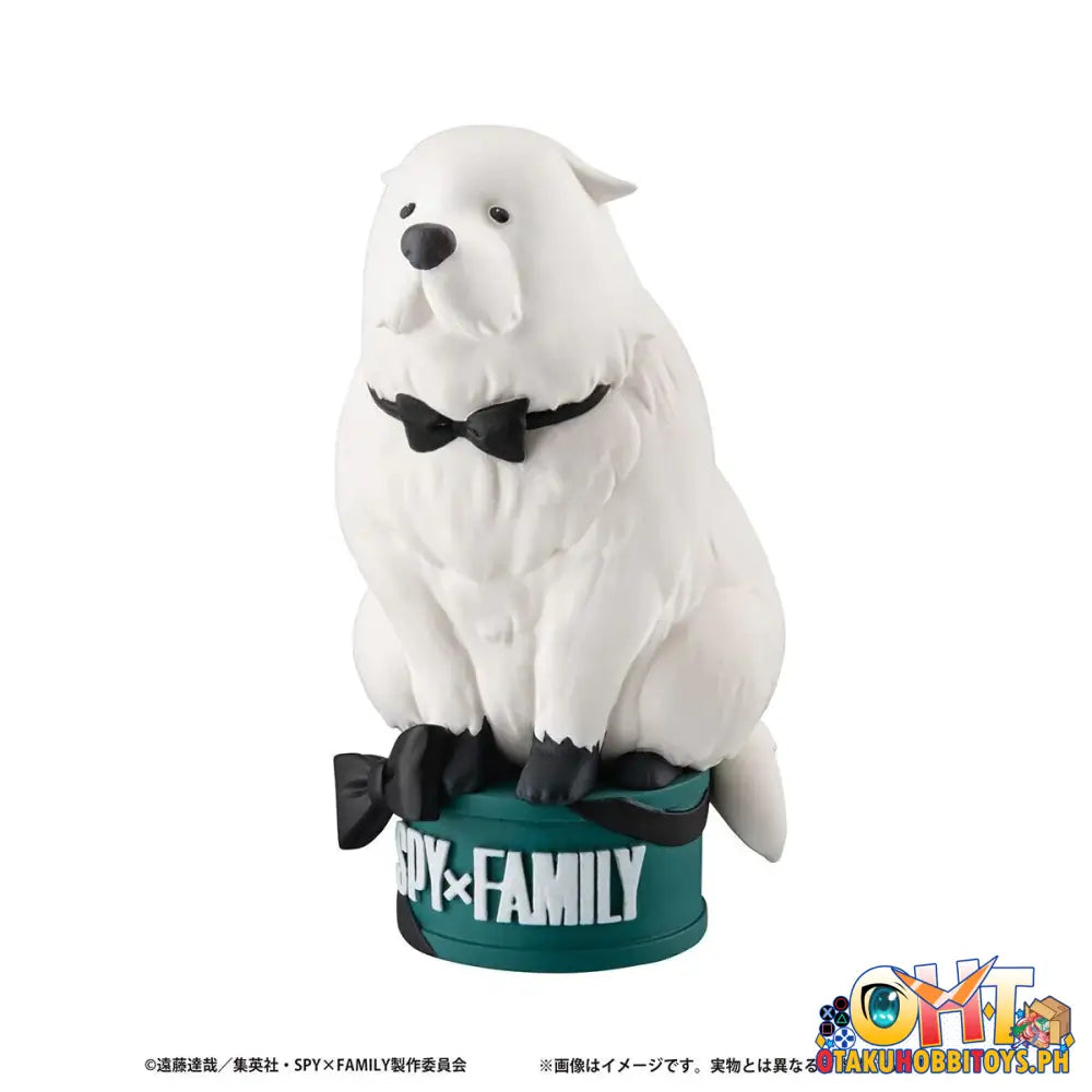 Megahouse Petitrama Ex Spy×Family In The Big Box Set [With Bond Forger]