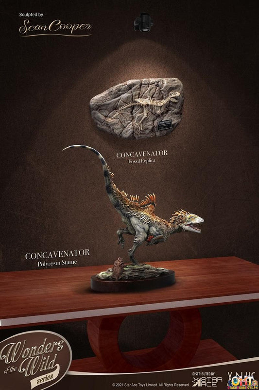 Star Ace Wonders of the Wild Series Concavenator + Fossil Replica Deluxe Ver.
