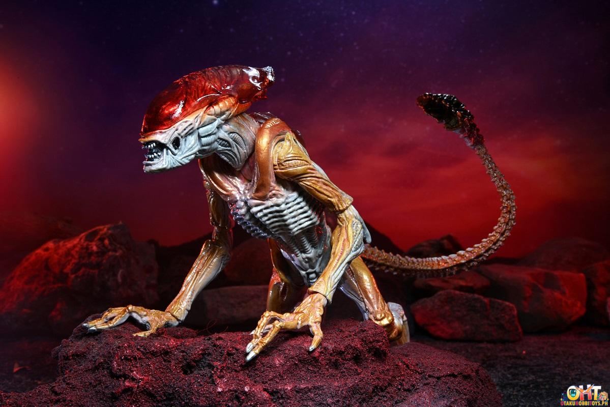 NECA Aliens - 7" Scale Action Figure - Kenner Tribute Panther Alien