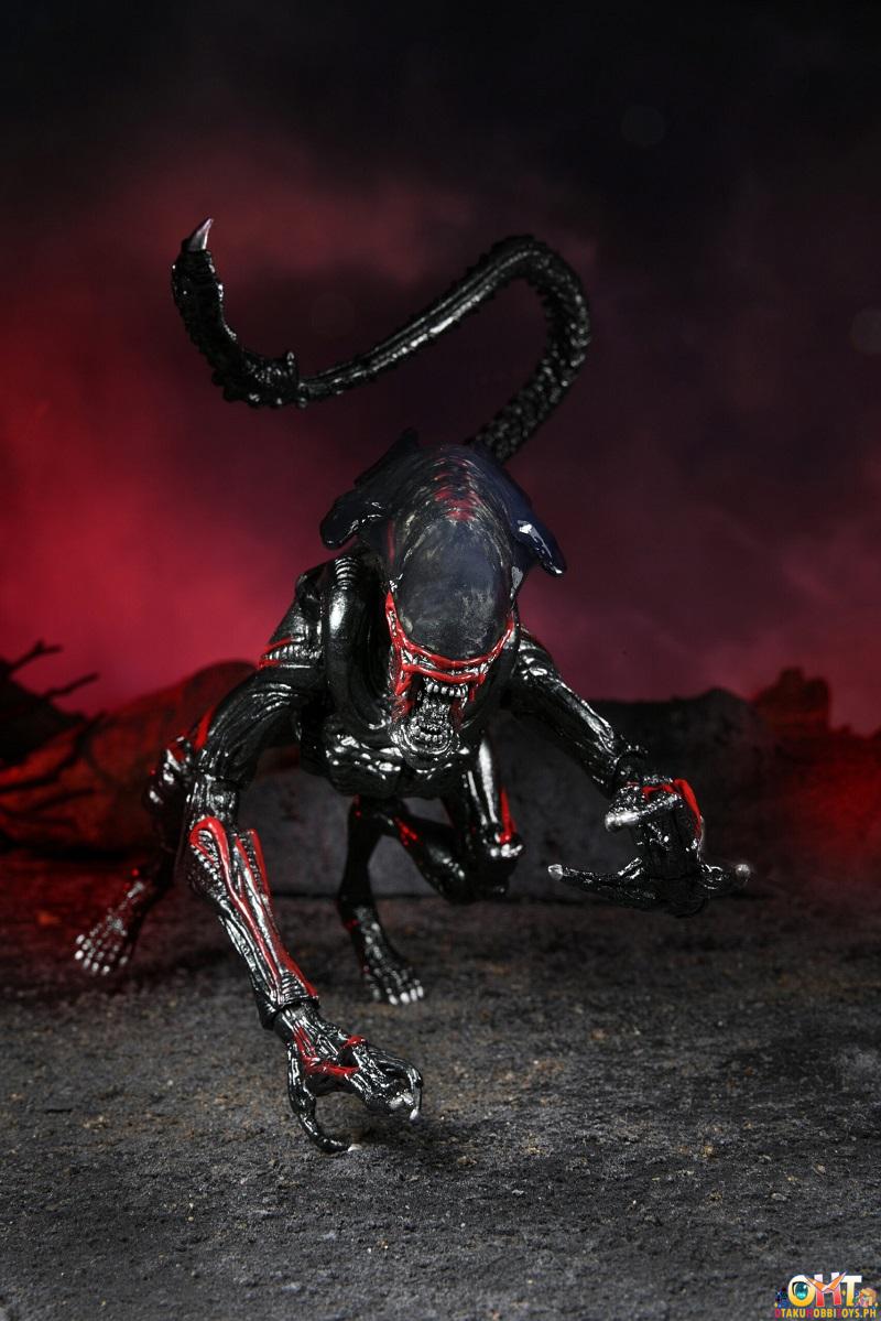 NECA Aliens - 7" Scale Action Figure - Kenner Tribute Night Cougar Alien