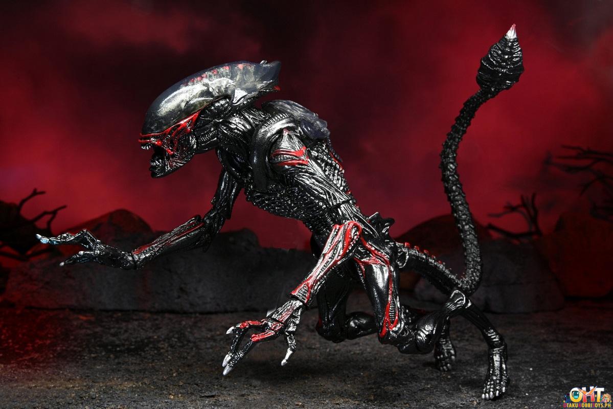 NECA Aliens - 7" Scale Action Figure - Kenner Tribute Night Cougar Alien