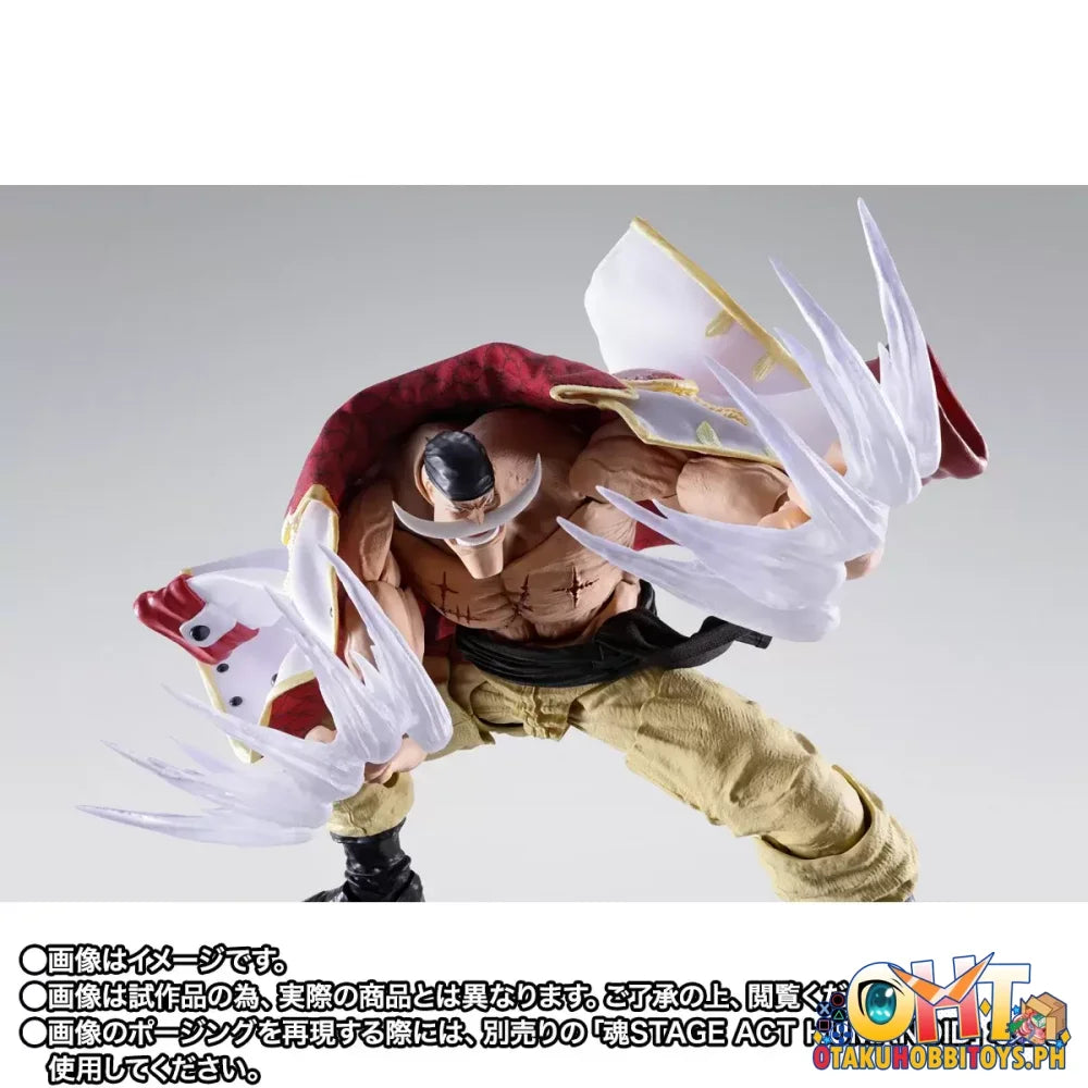 One Piece One Piece S.H.Figuarts EDWARD.NEWGATE -MARINEFORD- - Articulated Figure