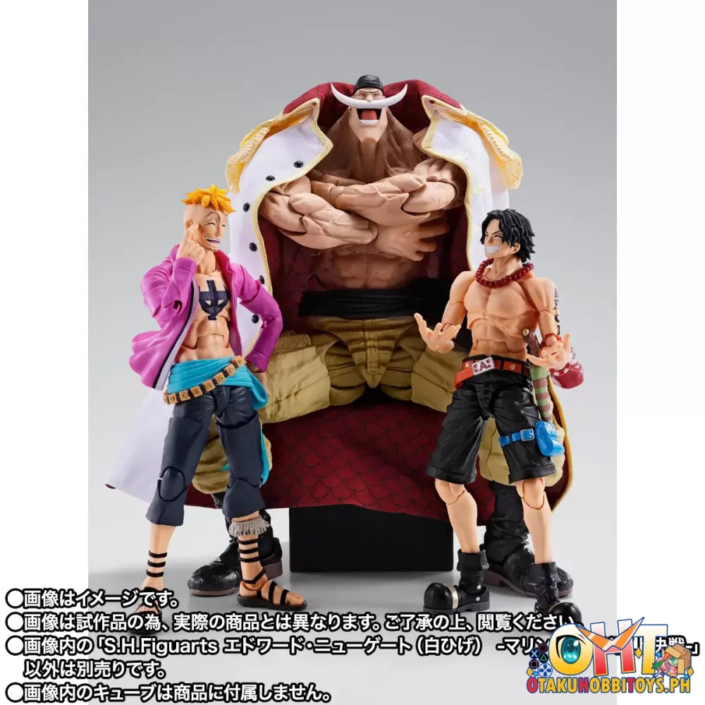 One Piece One Piece S.H.Figuarts EDWARD.NEWGATE -MARINEFORD- - Articulated Figure