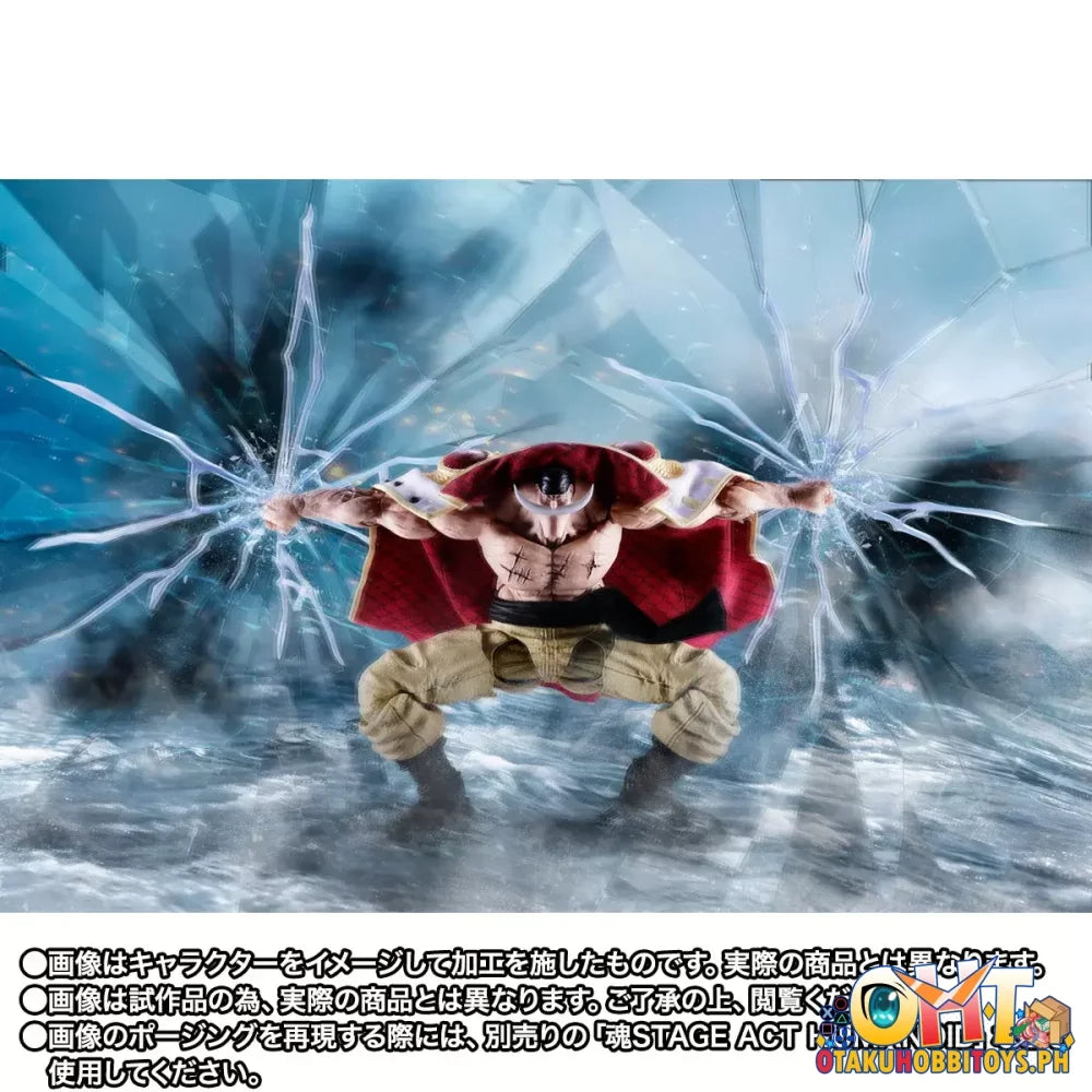 One Piece One Piece S.H.Figuarts EDWARD.NEWGATE -MARINEFORD- - Articulated Figure