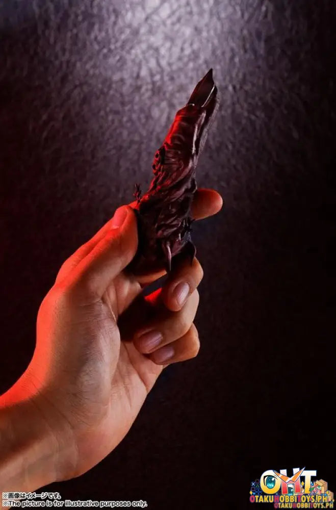 Proplica Special Grade Cursed Object: Ryomen Sukunas Finger