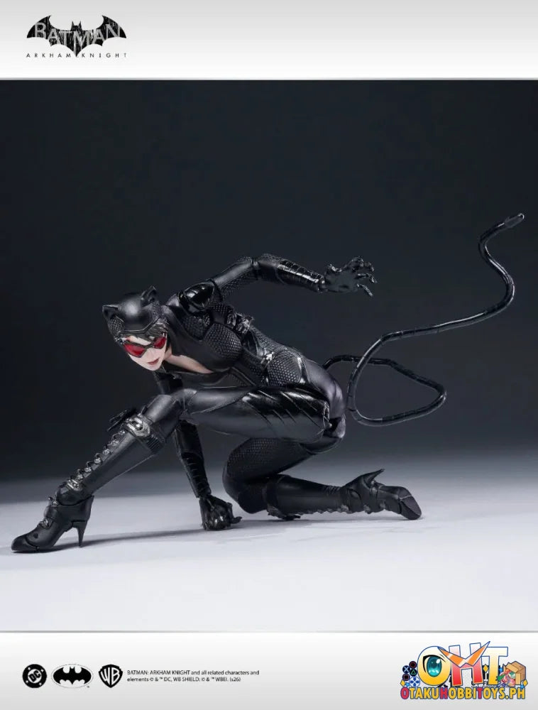 ROUND FIELD / UPFinegures Yuenye X ROUND FIELD X UPFinegures 1/12 Batman Arkham Knight Catwoman