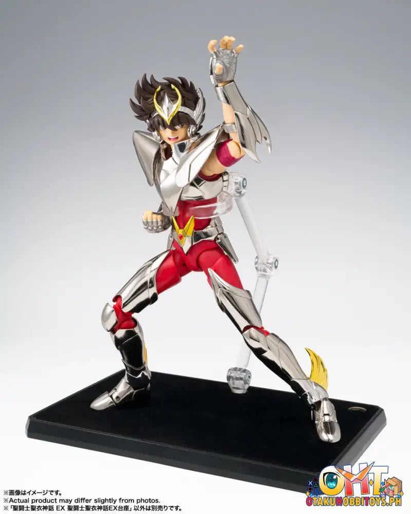 Saint Cloth Myth Ex Stage